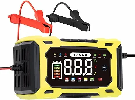 12V Intelligent Pulse Repair Battery Charger